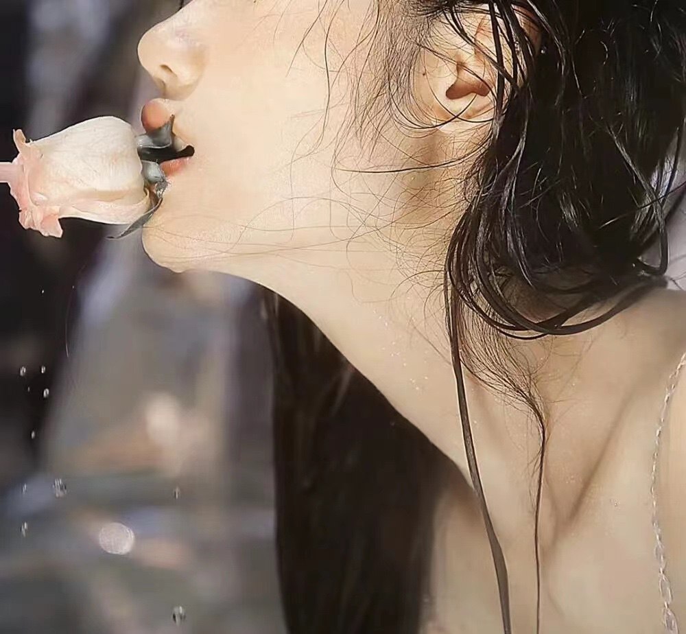 新手必看區